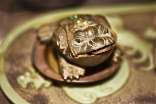 Amulett-toad für Glück und Reichtum